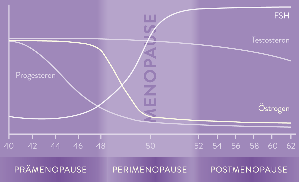 mp_graph_dreiphasen_neu_pfade_rgb